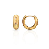 Anillos de Maitê