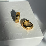 Anillos de Maitê