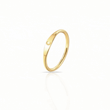 Anillo inicial