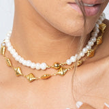 Collar de aster