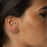 Piercing Stella