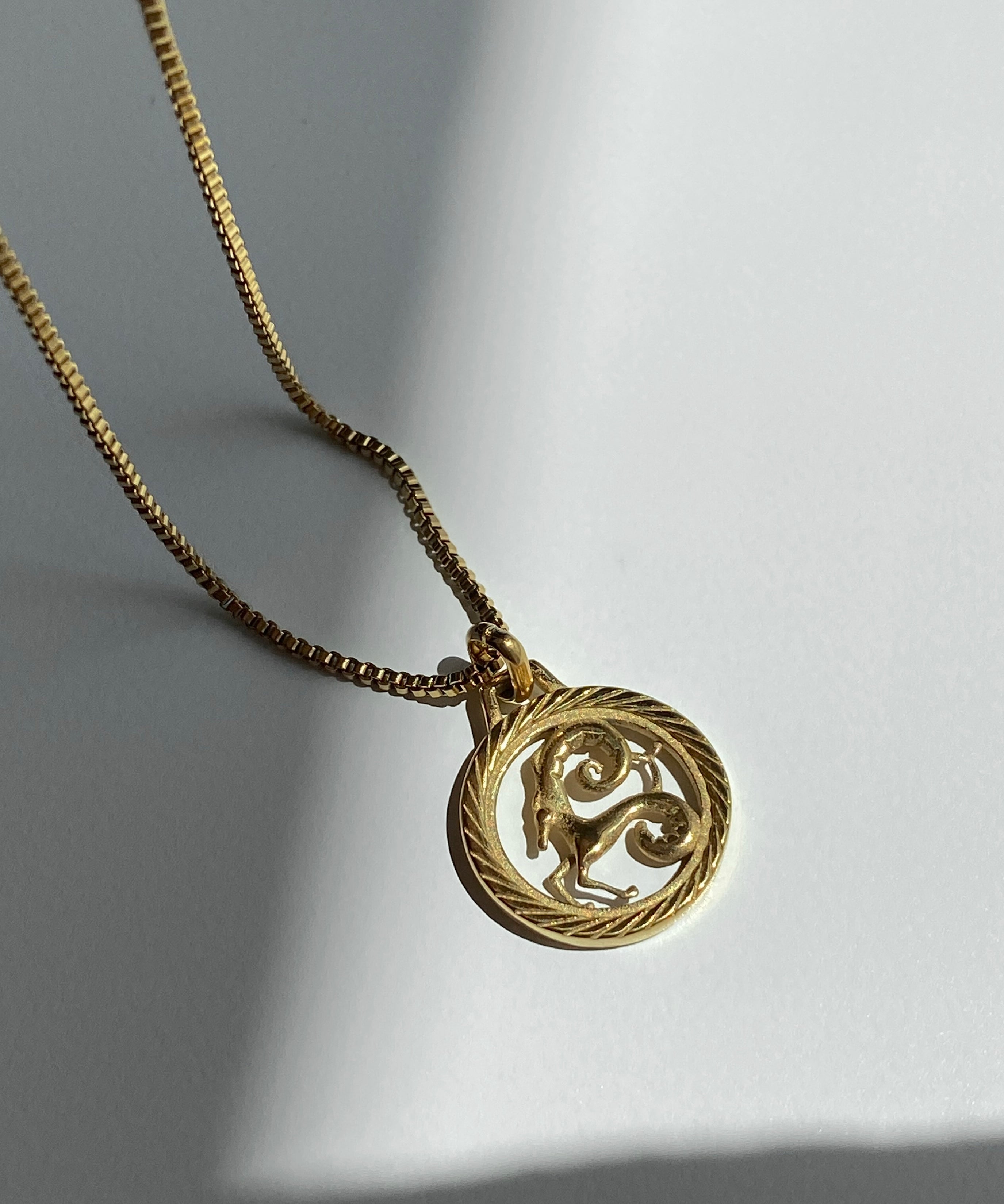 Zodiac Round Medal Necklace