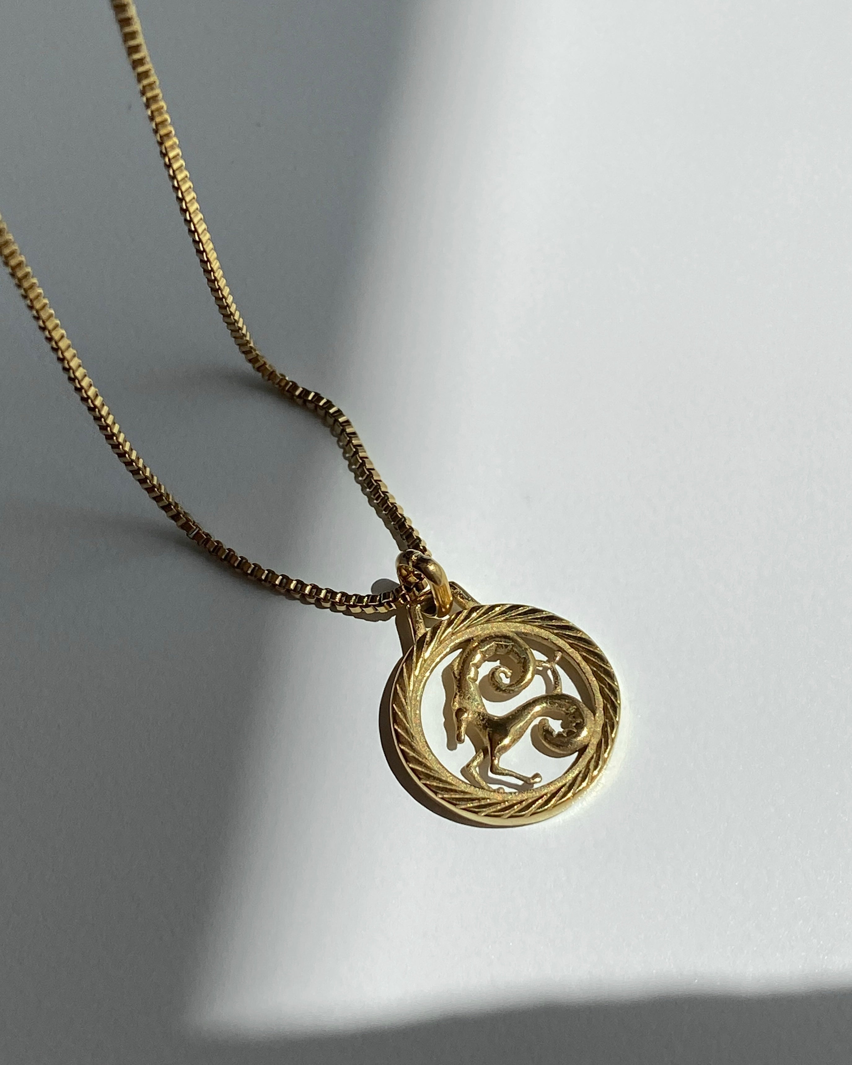 Collar con medalla redonda del zodíaco