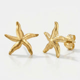 Anillos de estrella