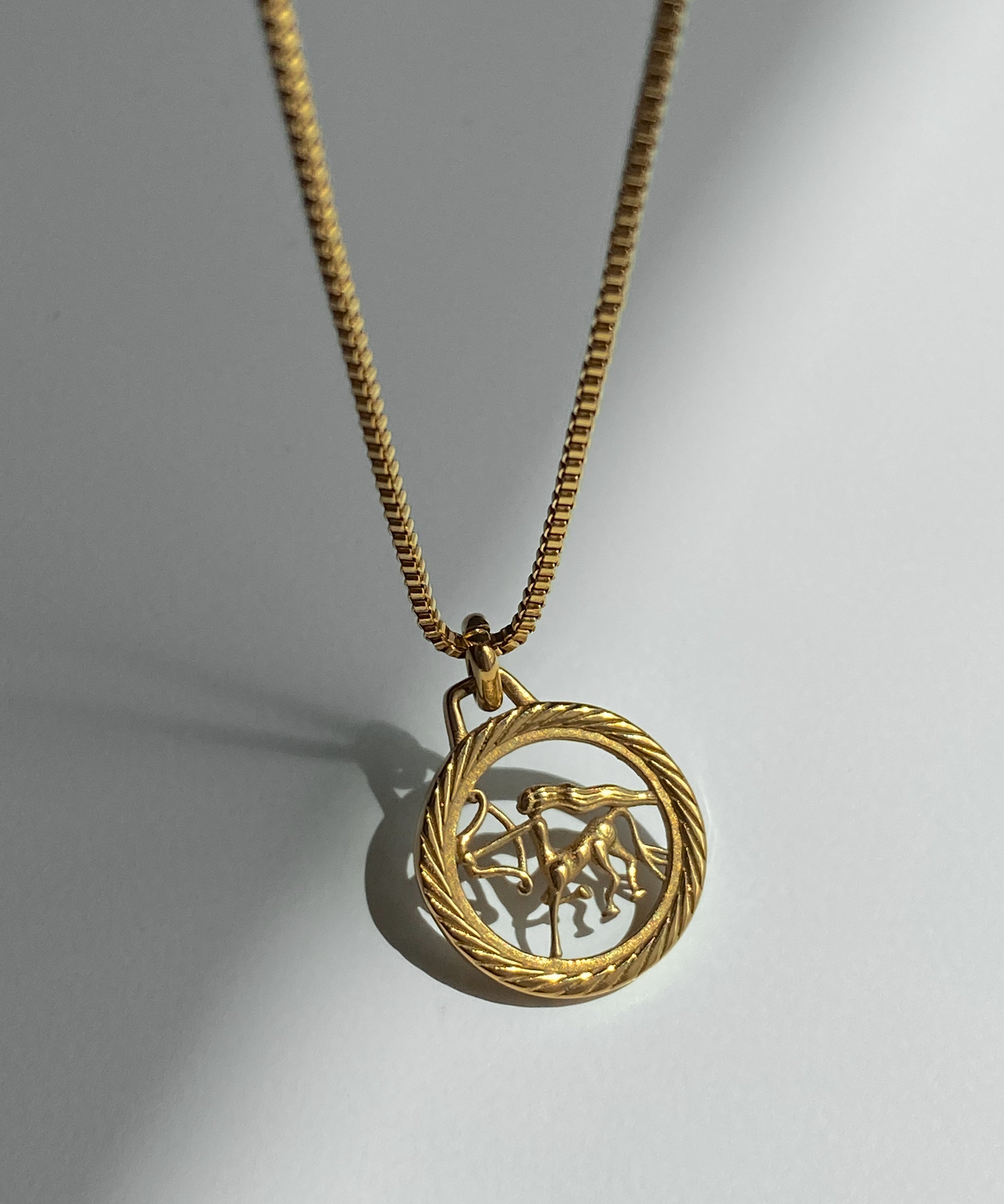 Zodiac Round Medal Necklace