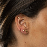 Piercing Quadrat