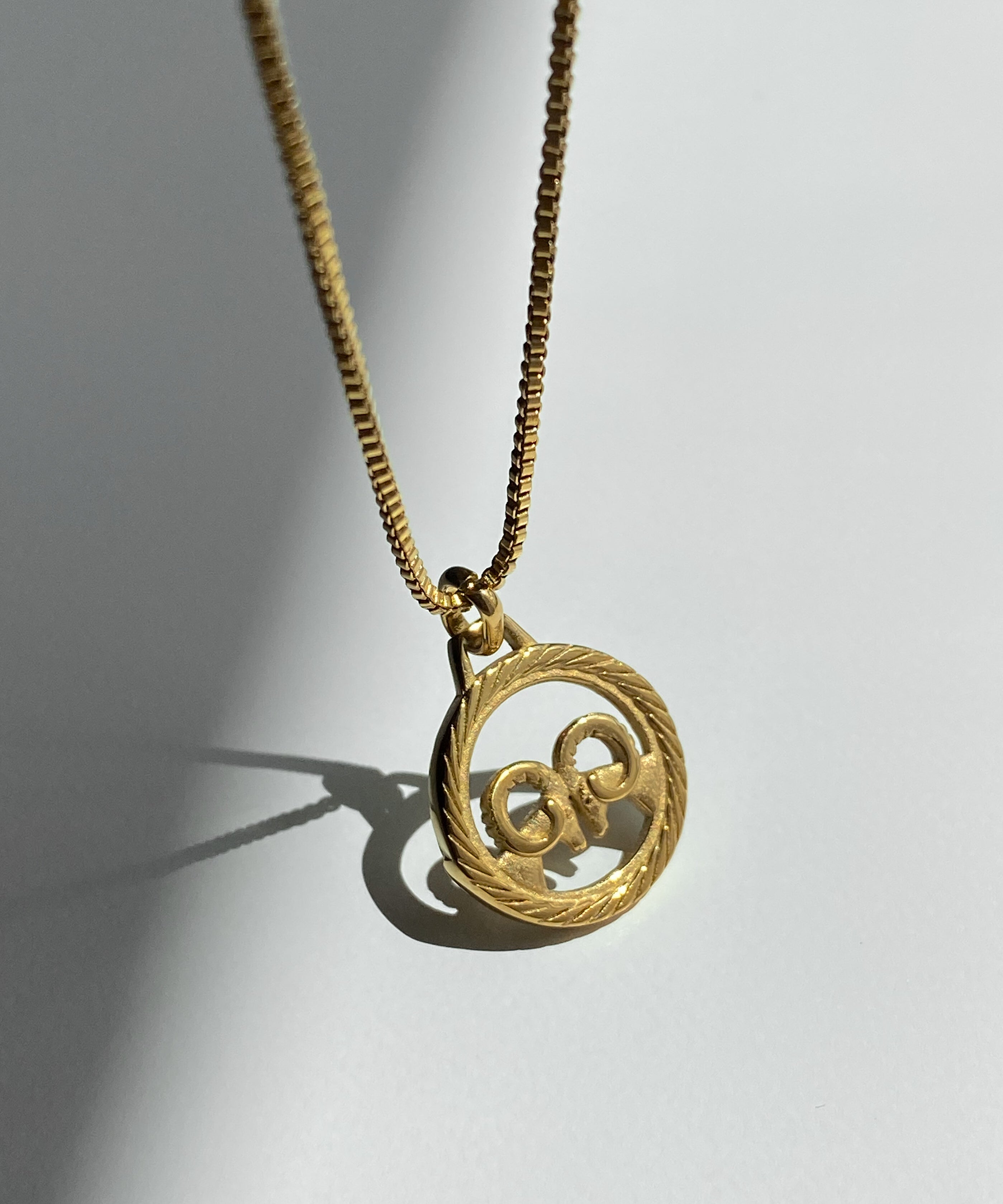 Zodiac Round Medal Necklace