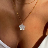 Collar Flor Plumeria