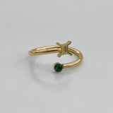 Anillo de signos del zodíaco de cristal