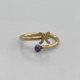 Anillo de signos del zodíaco de cristal