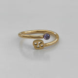Anillo de signos del zodíaco de cristal
