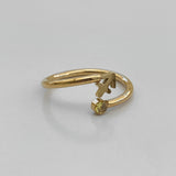 Anillo de signos del zodíaco de cristal