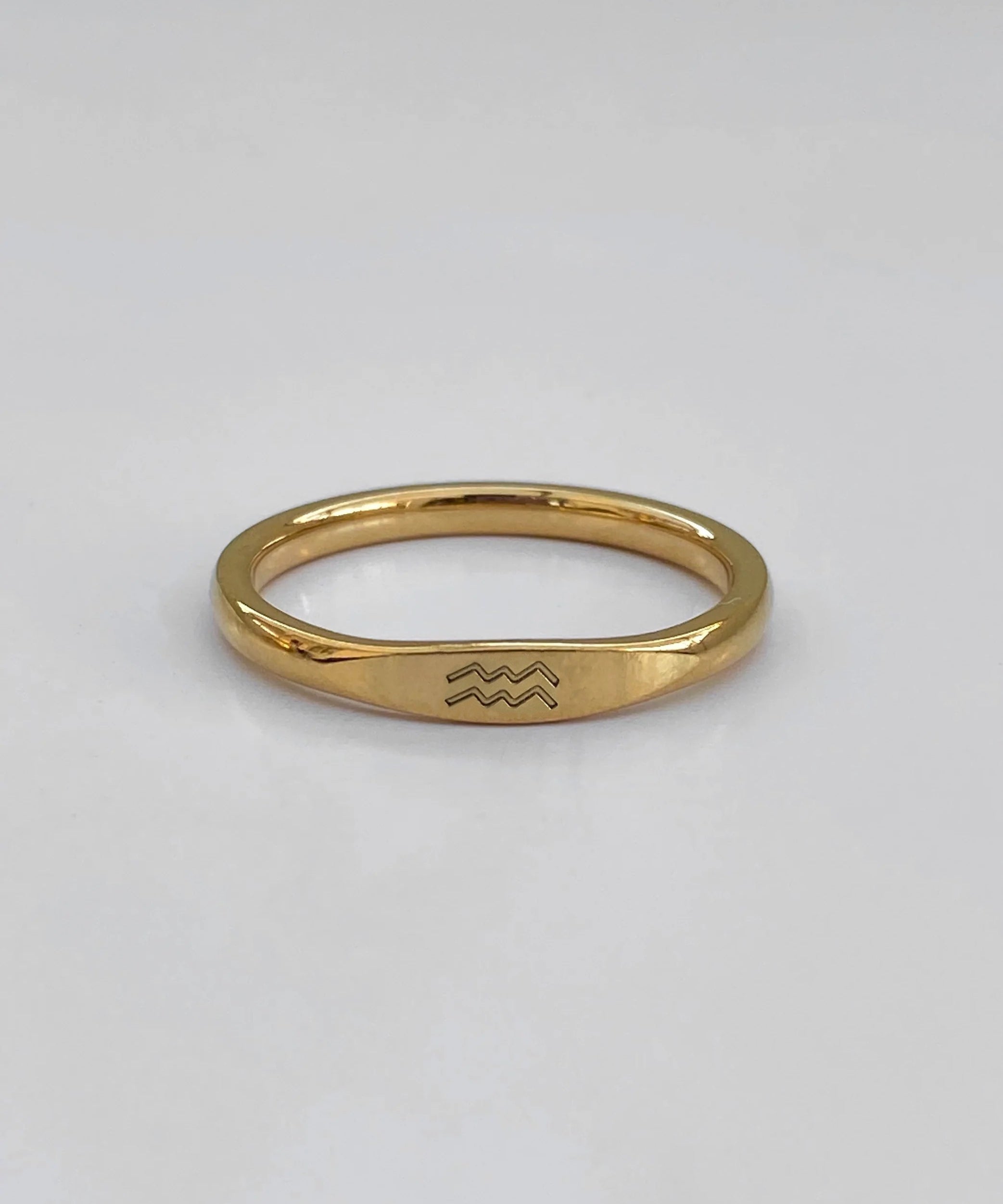 Anillo de signos del zodíaco